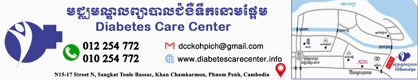 CarnetDia is the first mobile app about diabetes in Khmer language.