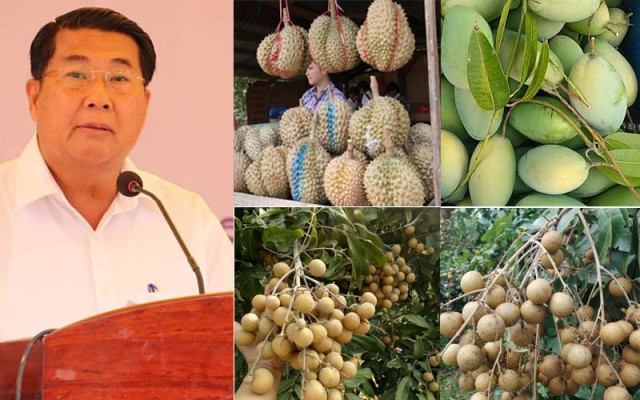 Kampot seeks investment to boost fruit exports 
