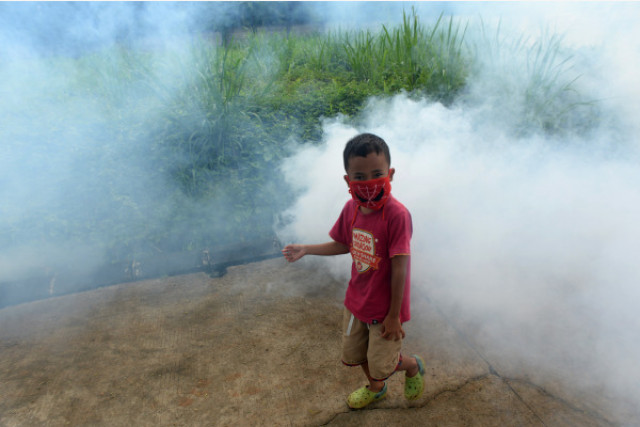 WHO urges more vigilance against dengue amid rainy season