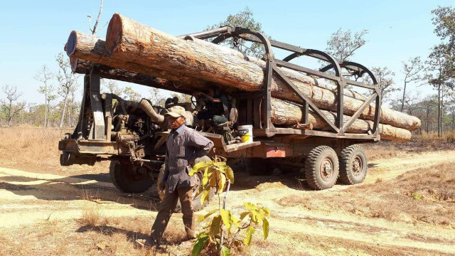 Forest Activists: Government Reluctant to Preserve Cambodia’s Forests  
