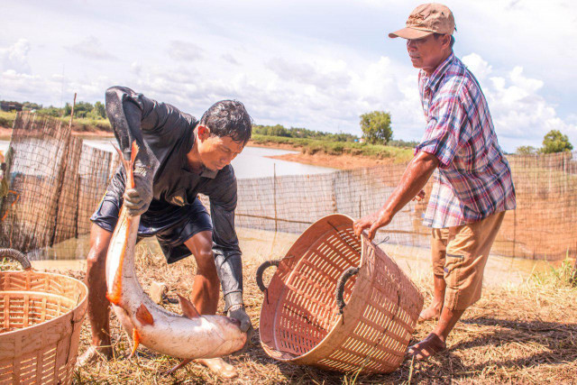 Appetite software could be adapted to Mekong fish farms
