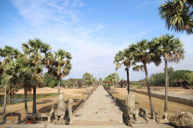 Cambodia's famed Angkor reports 60-pct drop in foreign tourists in first 4 months