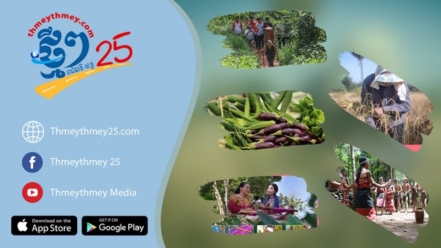 ThmeyThmey25 Receives Funding from UNDP for its Local-Product Promotion Program