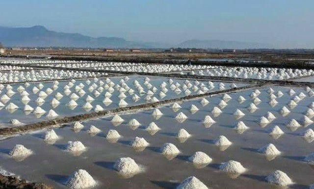 Kampot and Kep Provinces’ Salt Producers Are Having a Good Harvest 