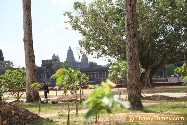 The Angkor Archeological Park Is Undergoing a “Spring Cleaning” Thanks to COVID-19