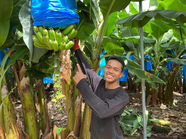 A Cambodian Student Returns Inspired from an Agriculture Internship in Israel