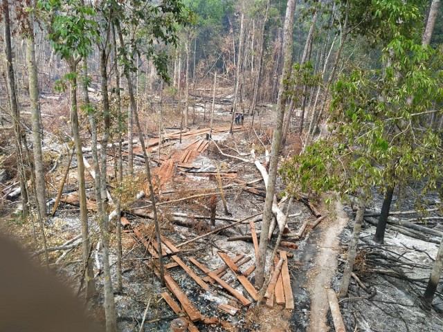 Inspection Shows Wildlife Sanctuary Deforestation
