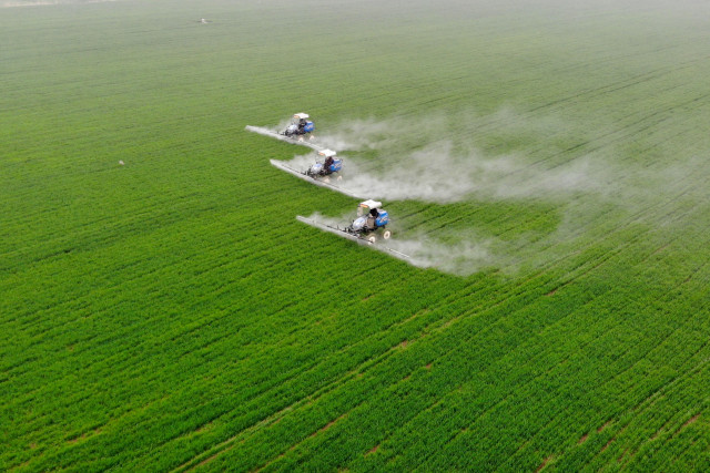 Food security underscored in China's new draft law