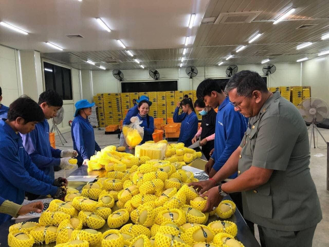 Cambodia expresses gratitude to China for formally approving export of fresh mangoes