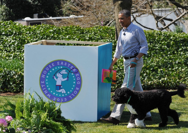 Obamas' dog Bo, a star of the White House, dies