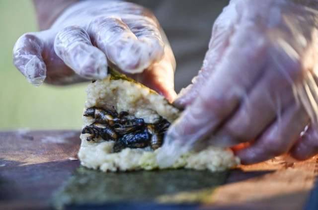 Cicada sushi, anyone? US chef serves up sustainable 'Brood X' delicacy