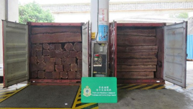   Authorities Probe Illegal Timber Export