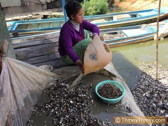Floating Village Residents Quit Fishing to Forage for Clams as Water Drops at Tonle Sap Lake