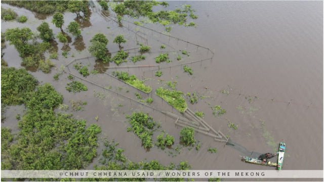 Loss of Flooded Forests Surrounding the Tonle Sap Lake Results in Fish Decline