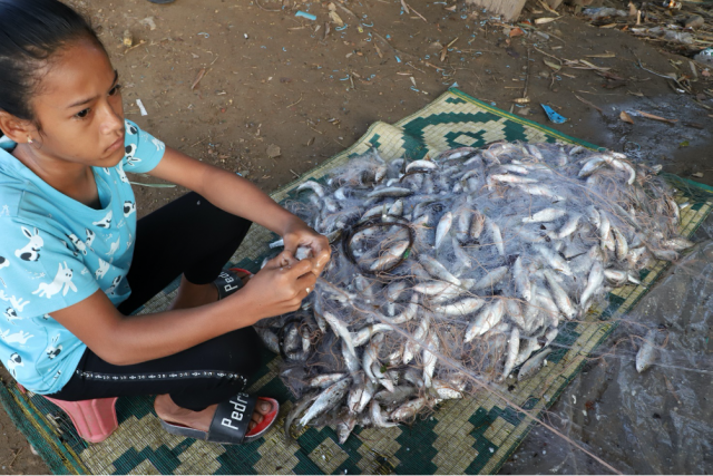 Fish: New Expensive Protein in Cambodia