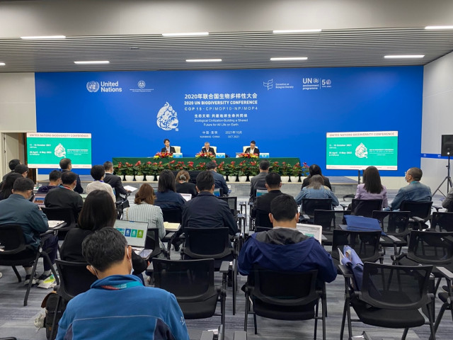 Key UN biodiversity summit to open in China