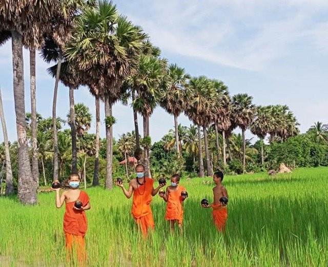 Monks Plant 22,000 Palm Trees to Protect Community Forest in Siem Reap