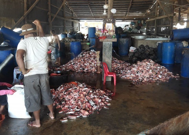 Cambodian Fish Farming to “Collapse” without Restrictions in Fish Imports