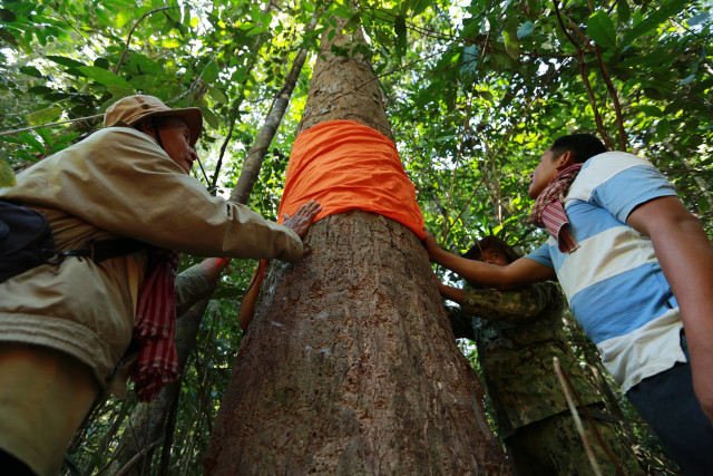 Indigenous People Suffer as Forest Shrinks