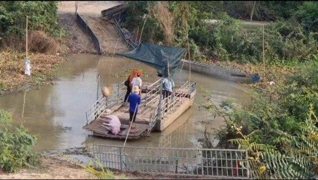 The Illegal Live Pig Trade along Vietnam’s Border Has Turned Rampant, Cambodia’s Livestock Farmers Say