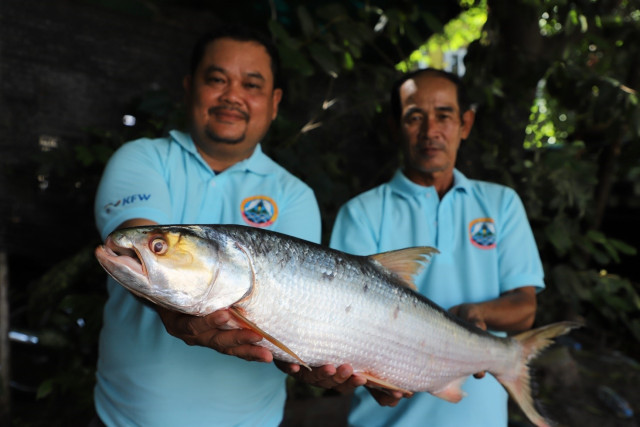 Giant salmon carp: Symbolic Mekong endemic fish species rediscovered in Cambodia