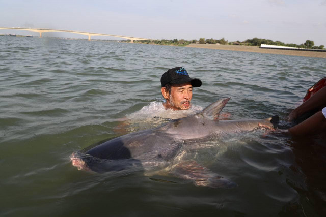 Endangered Catfish Tagged and Released