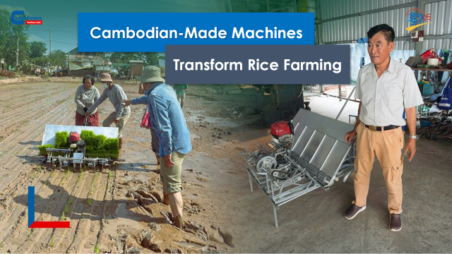 Cambodian-Made Sowing and Transplanting Machines Transform Rice Farming Processes