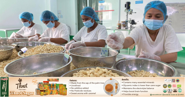 Work Starts on Biggest Cashew Processing Plant