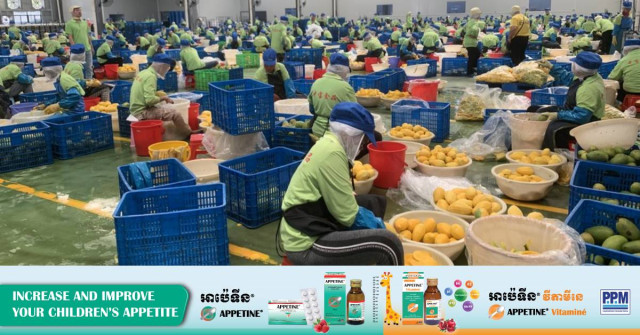 Cambodia Logs Slight Rise in Exports During January-November