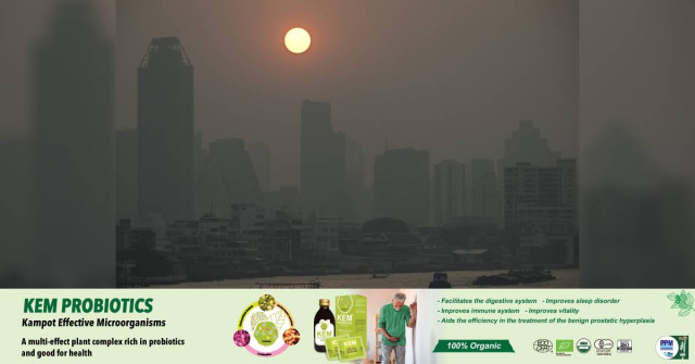 Bangkok Says Work from Home as Pollution Blankets City