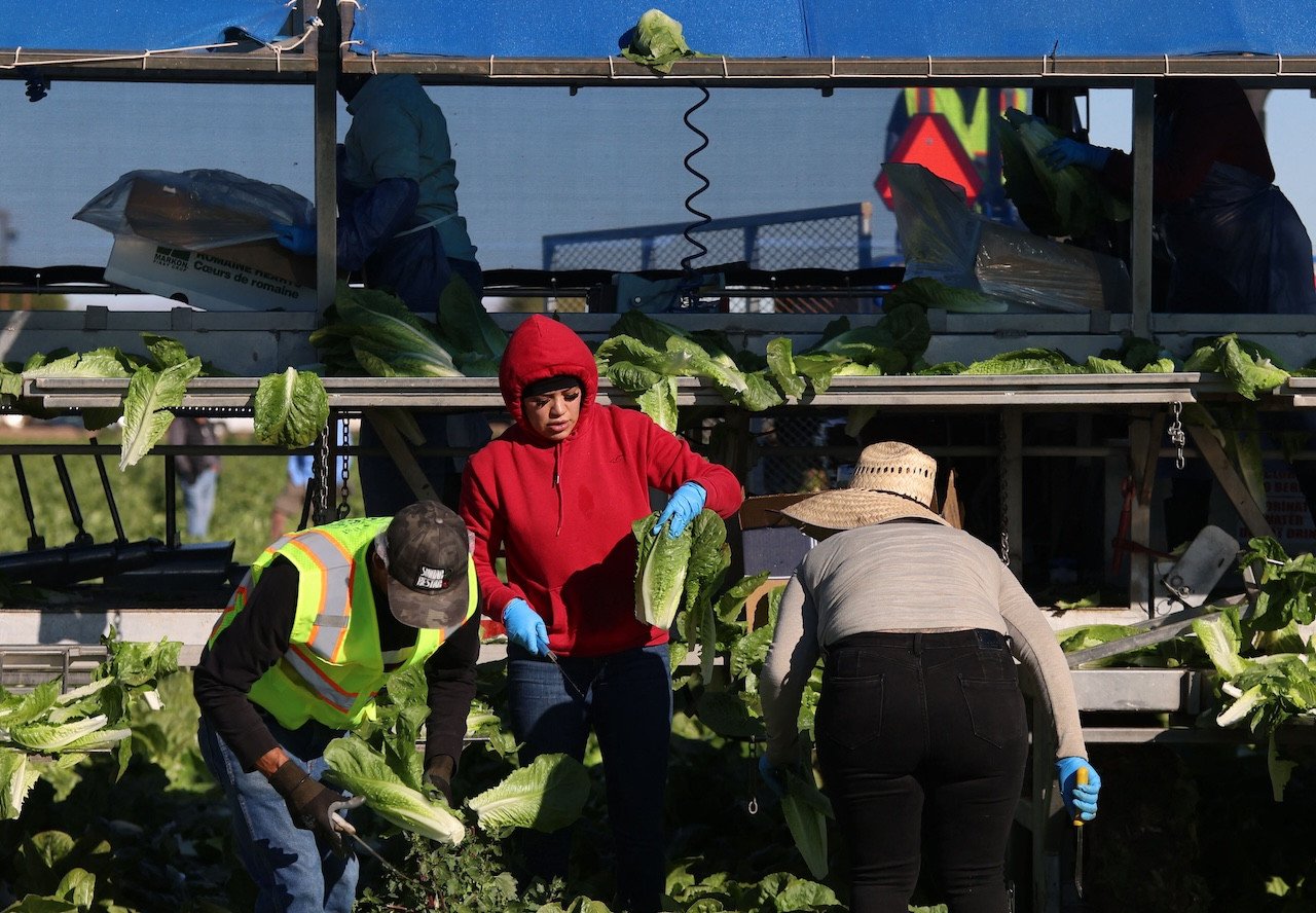 Are High-Skill Immigrants a Problem?